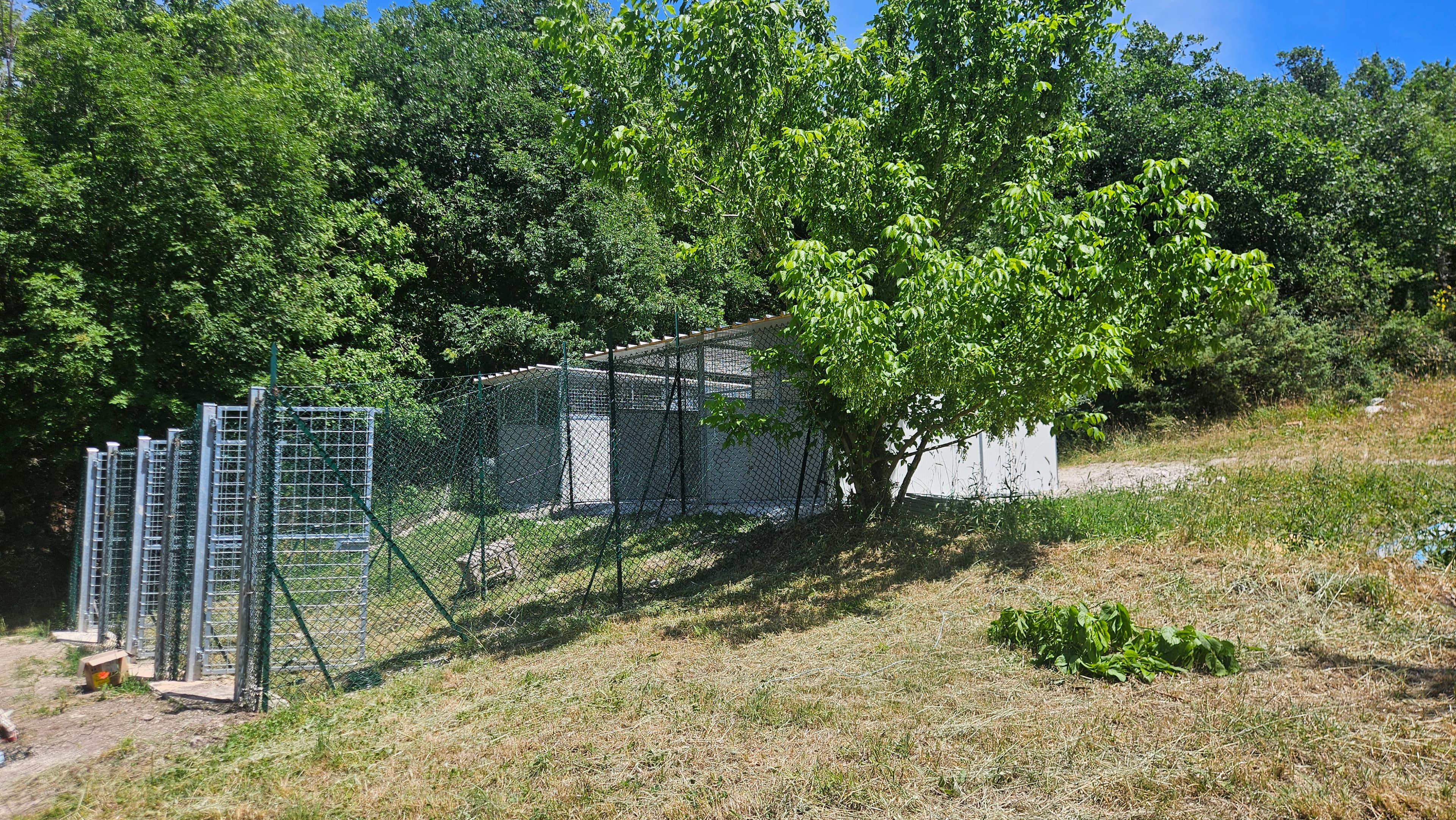 Panoramica della pensione immersa nel verde